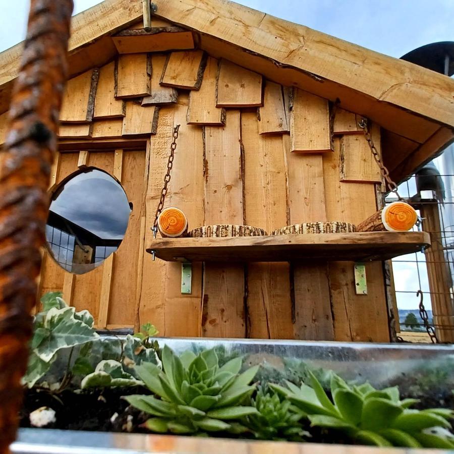 La Cabane Du Coing Vise Bagian luar foto