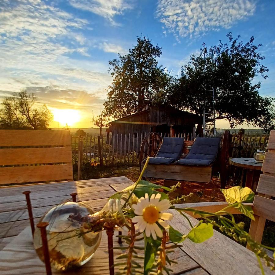 La Cabane Du Coing Vise Bagian luar foto