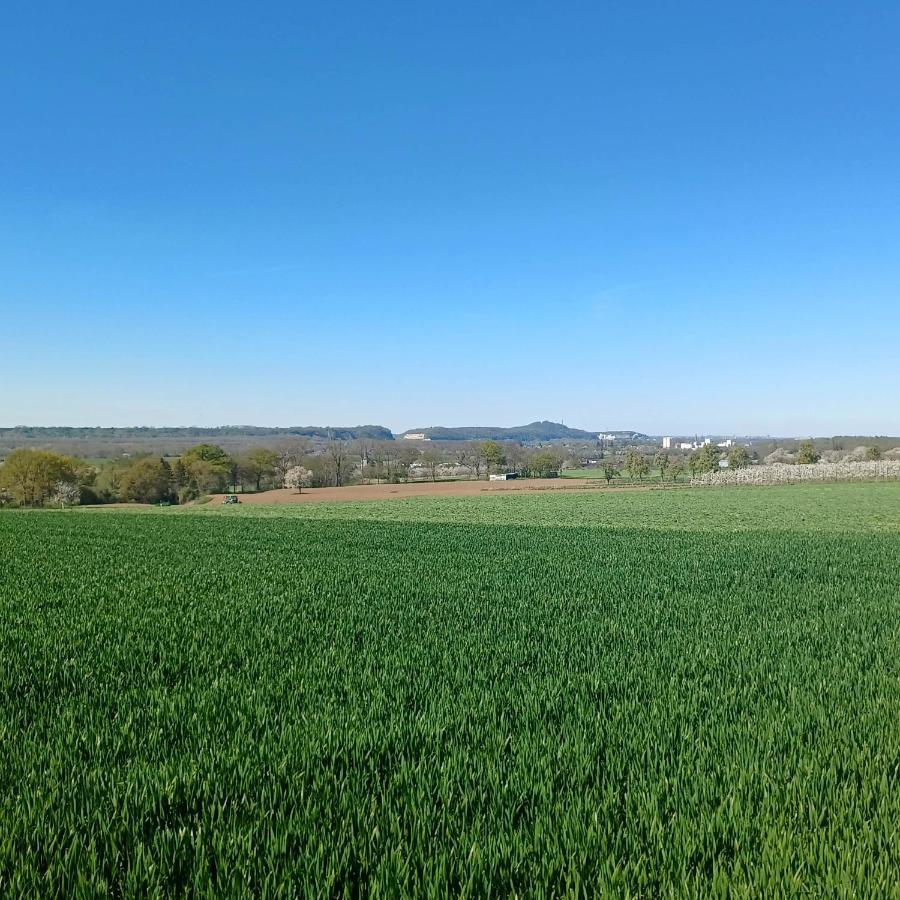 La Cabane Du Coing Vise Bagian luar foto
